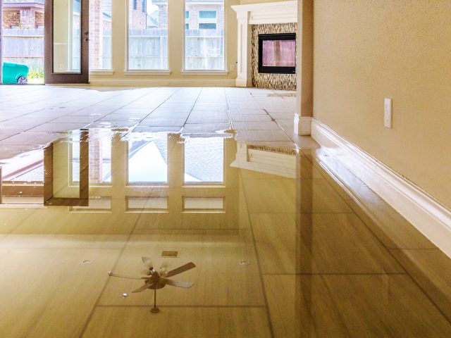 https://disastervictimservices.com/wp-content/uploads/2025/03/PCDesignTeam-WebsiteLandingPageImages-SC-14-MAR-2025-3-640x480.jpg